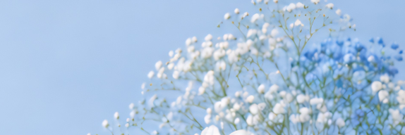 Banner 1